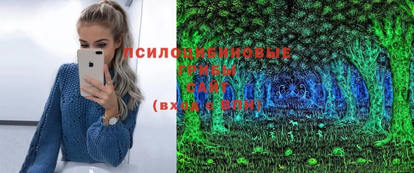каннабис Новодвинск