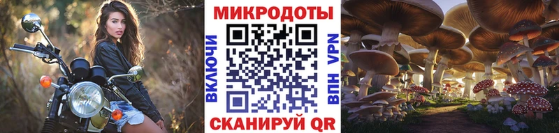 купить наркотик  ссылка на мегу как войти  Галлюциногенные грибы GOLDEN TEACHER  Палласовка 